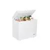 Haier HCF-300HTQ 300L Hard Top Horizontal Commercial Freezer-2