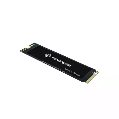 Revenger N580 256GB M.2 NVMe PCIe Gen3 SSD