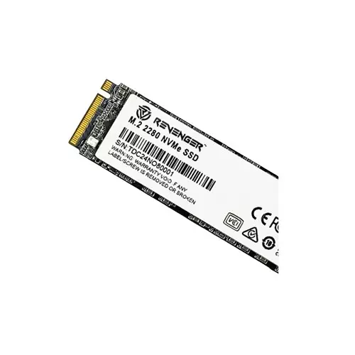 Revenger N580 256GB M.2 NVMe PCIe Gen3 SSD-1