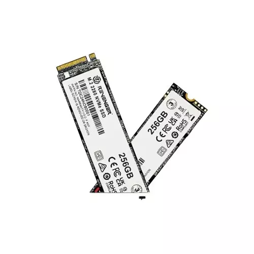 Revenger N580 256GB M.2 NVMe PCIe Gen3 SSD-2