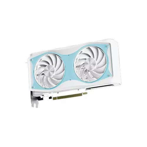 Manli Polar Fox GeForce RTX 5060 OC 8GB GDDR7 Graphics Card-2