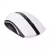 Rapoo 7200P Wireless Optical Mouse-gallery-2