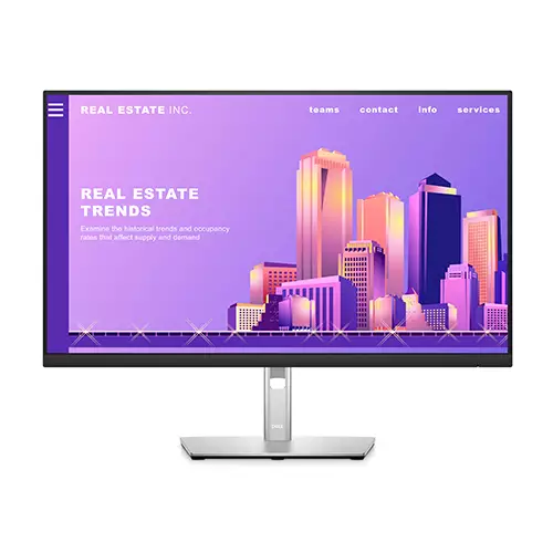 Dell P2422H 24 INCH FULL HD IPS MONITOR