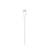 Apple Type-C to Lightning Cable 1M-gallery-1
