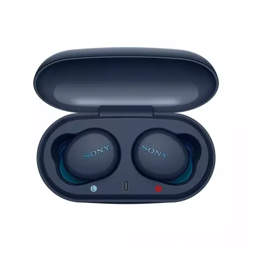 Sony WF-XB700 True Wireless Earbuds-gallery-1