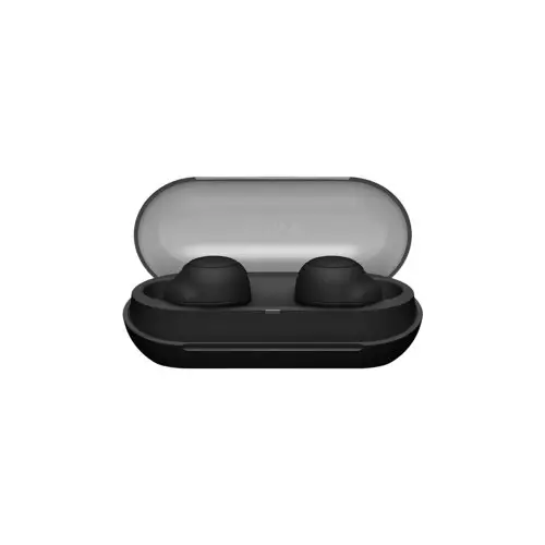 Sony WF-C500 True Wireless Earbuds-gallery-1