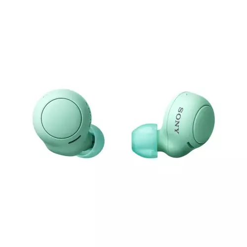 Sony WF-C500 True Wireless Earbuds-gallery-2