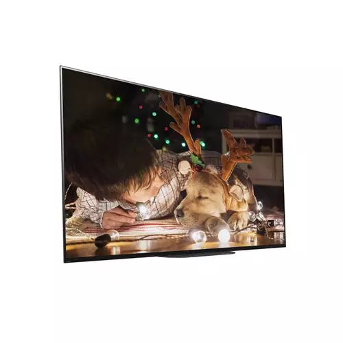 SONY BRAVIA 55A9G 55-INCH ANDROID OLED 4K ULTRA HD SMART TV-gallery-1