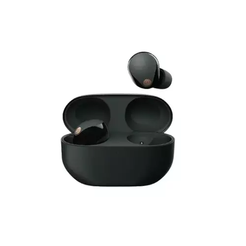 SONY WF-1000XM5 Wireless NC Black Earbuds-gallery-1