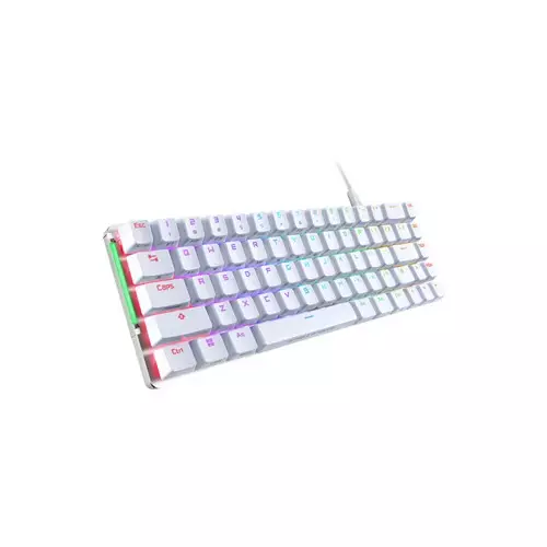 ASUS ROG FALCHION ACE WIRED BACKLIT MECHANICAL KEYBOARD-gallery-4