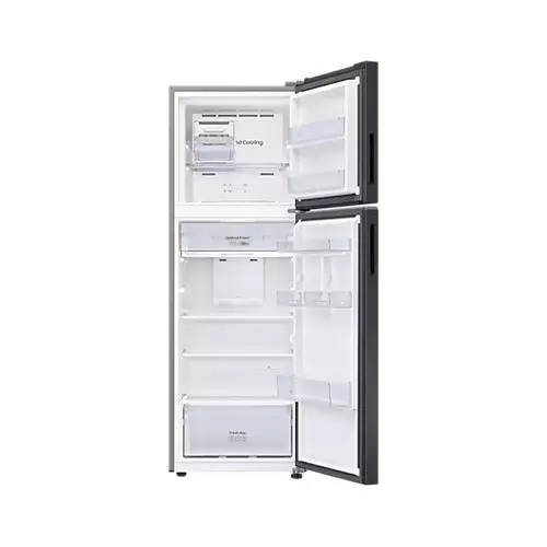 Samsung RT31CG5420B1 305L Mono Cooling 2-Door Refrigerator-gallery-1