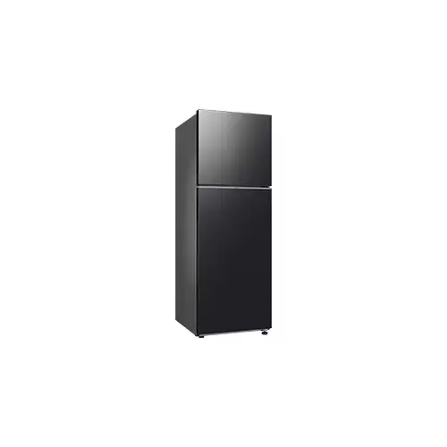 Samsung RT35CG5420B1SE 348L RT35 2-Door Refrigerator-gallery-1