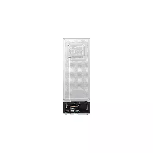 Samsung RT35CG5420B1SE 348L RT35 2-Door Refrigerator-gallery-2