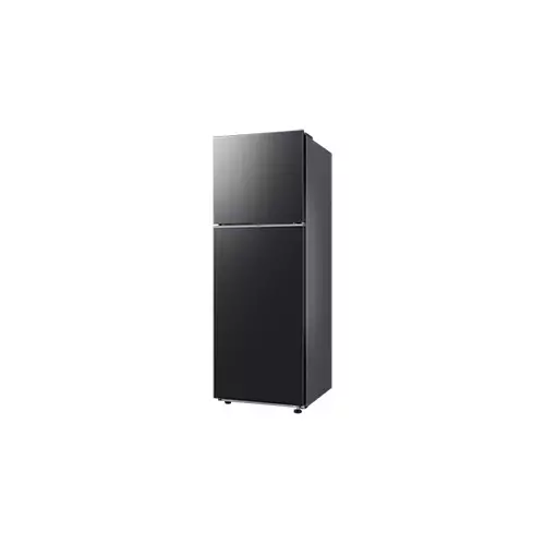 Samsung RT35CG5420B1SE 348L RT35 2-Door Refrigerator-gallery-4
