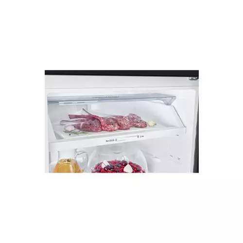 Samsung RT47CB664422ME CAP 465 LTR Top Mount Freezer-Refrigerator-gallery-6