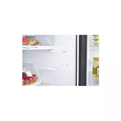 Samsung RT47CB664422ME CAP 465 LTR Top Mount Freezer-Refrigerator-gallery-7