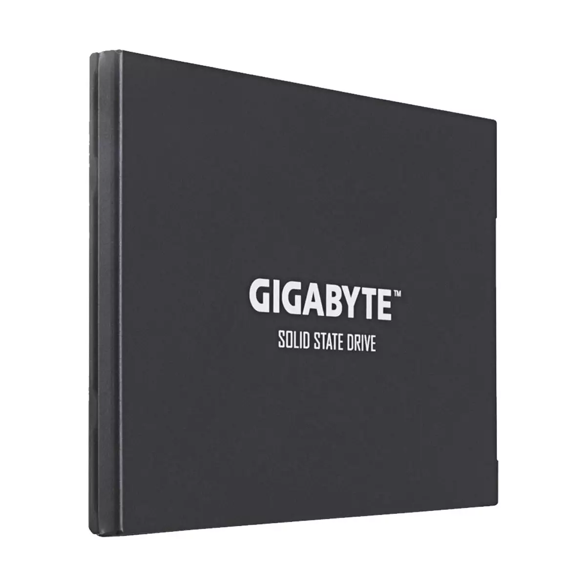 Gigabyte 256GB 2.5 Inch SATAIII SSD-gallery-2