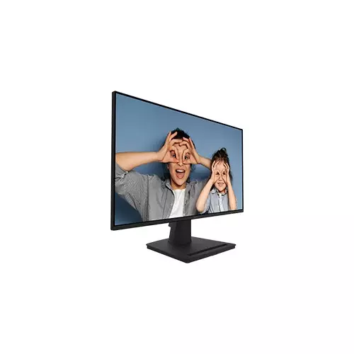 MSI PRO MP252 24.5-inch 100Hz Business Productivity Monitor-gallery-1