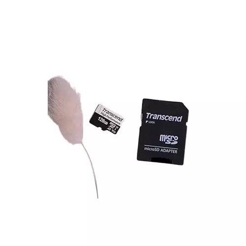 Transcend TS64GUSD330S 64GB UHS-I U3 MicroSD Memory Card-gallery-2