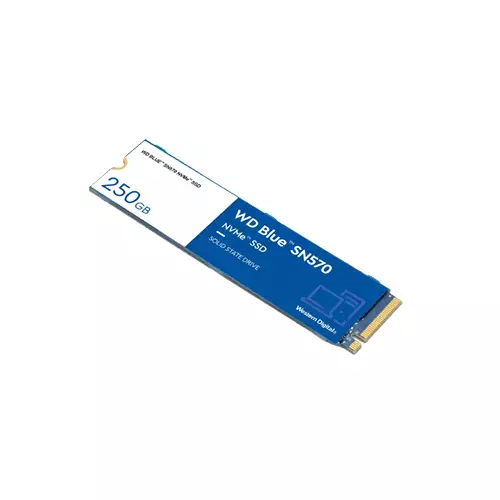 WD BLUE SN570 250GB NVME SSD-gallery-1