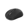 PROLINK PMW6008 2.4GHZ WIRELESS NANO OPTICAL MOUSE-gallery-1