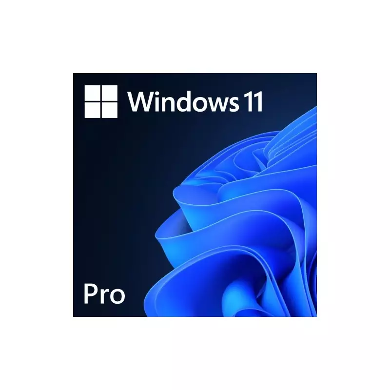MICROSOFT WINDOWS 11 PROFESSIONAL 64 BIT ENG INTL 1PK DSP OEI DVD-gallery-1