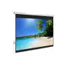 APOLLO 10 X 10 FOOT WALL MOUNT ELECTRONIC PROJECTOR SCREEN-gallery-1