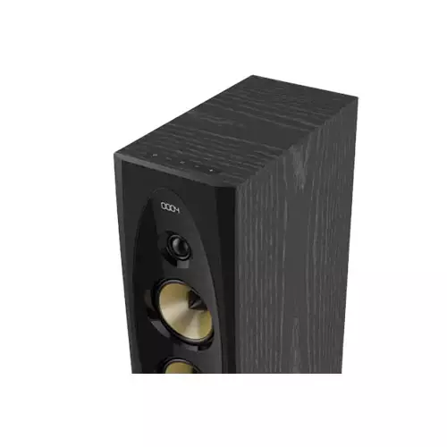 F&D T-60X PRO PEAK BLUETOOTH TOWER SPEAKER-gallery-1