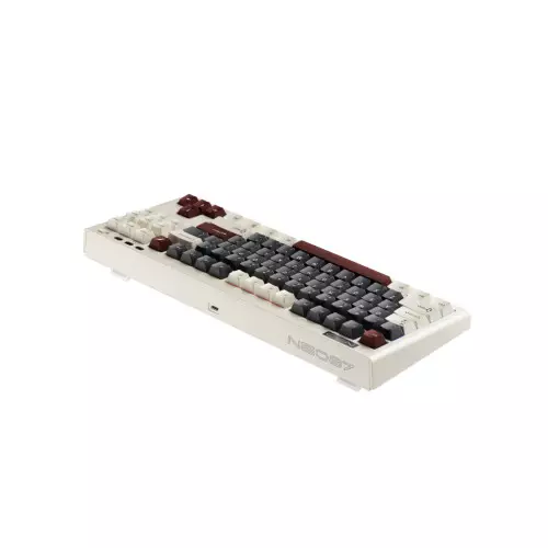 1STPlayer NEO87 Customized Tri-Mode RGB Mechanical Keyboard (ROME)-gallery-1