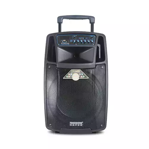 Temeisheng SL12-01 Trolley Speaker