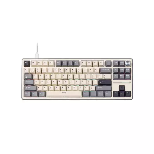 RK Royal Kludge R87 PRO TKL Hot Swappable RGB Wired Gaming Keyboard
