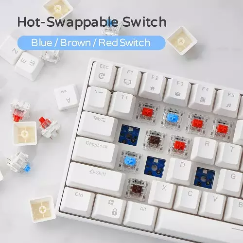 RK ROYAL KLUDGE RK100 Wireless Tri-Mode Mechanical Keyboard (Blue Switch)-gallery-4