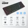 RK ROYAL KLUDGE RK100 Wireless Tri-Mode Mechanical Keyboard (Red Switch)-gallery-1