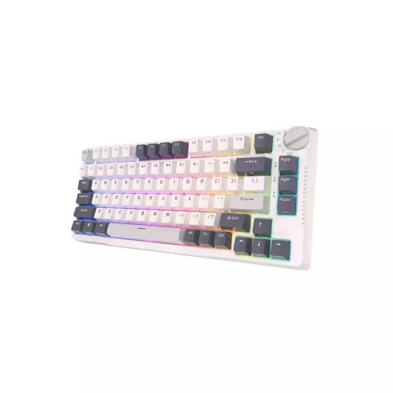 ROYAL KLUDGE RK H81 TRI MODE RGB HOT SWAP MECHANICAL KEYBOARD (BLUE SWITCH)-gallery-1