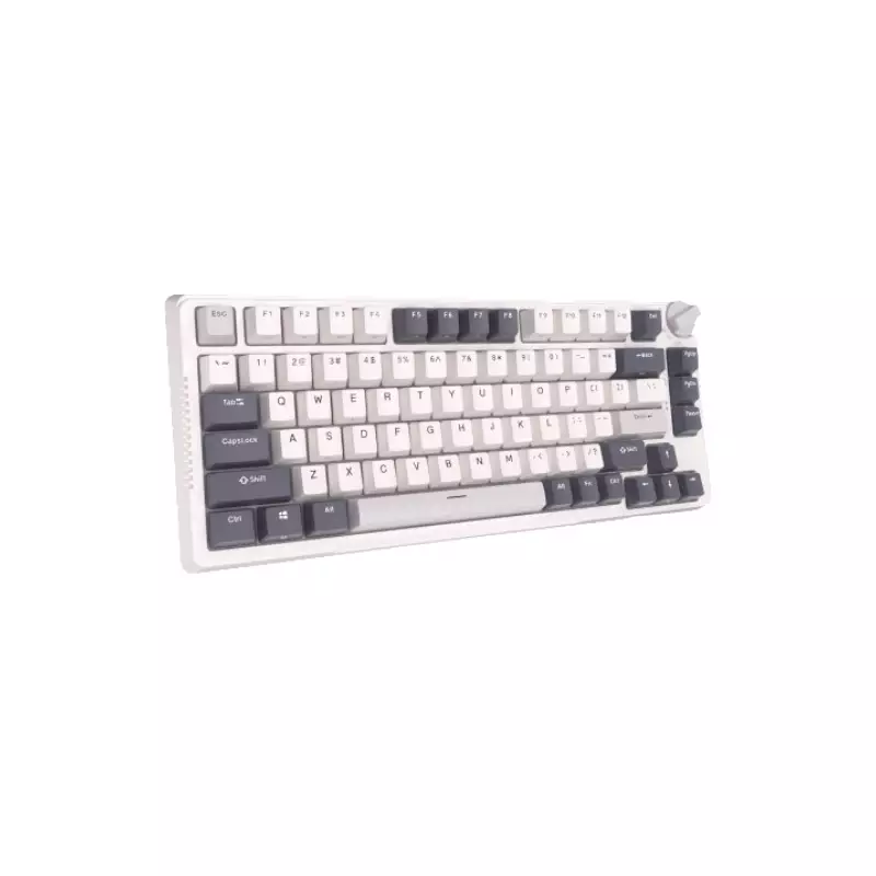 ROYAL KLUDGE RK H81 TRI MODE RGB HOT SWAP MECHANICAL KEYBOARD (BLUE SWITCH)-gallery-2