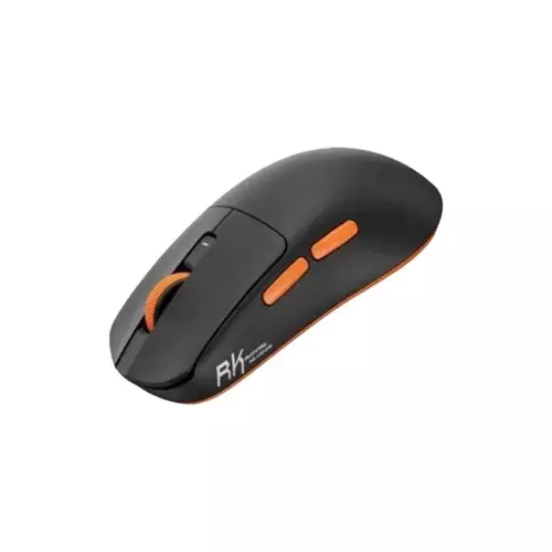 RK ROYAL KLUDGE RK M30 Wireless Gaming Mouse Black-1
