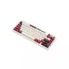 Royal Kludge M65 Tri-Mode Wireless RGB Mechanical Keyboard Famicom-gallery-1