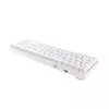 DAREU EK871 GTR HOTSWAPPABLE WIRELESS MECHANICAL KEYBOARD WHITE (BLUE SWITCH)-gallery-2