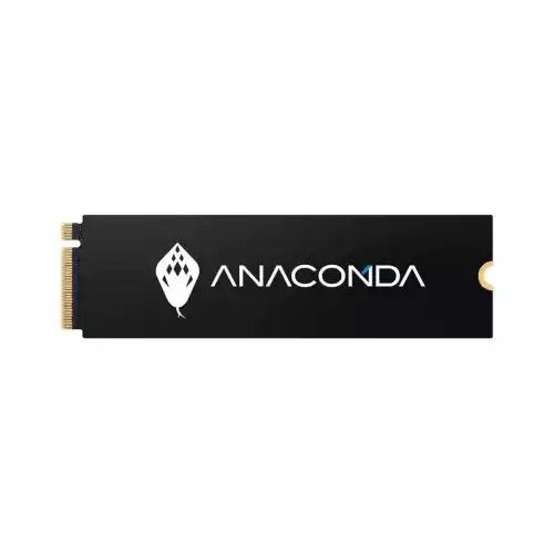 ANACOMDA I2 FIERY SERPENT M.2 128GB NVME SSD