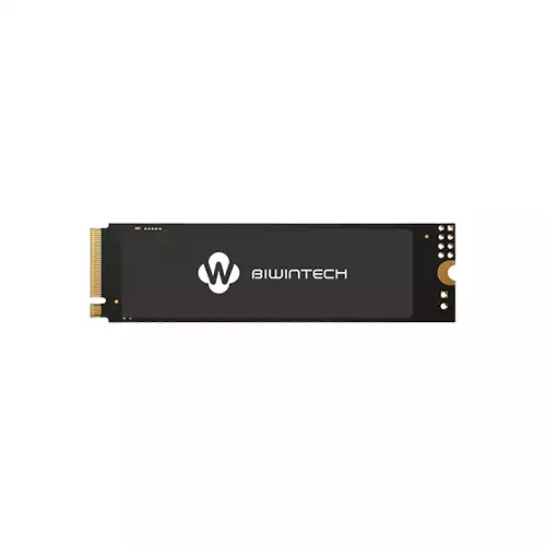 BIWINTECH NX500 256GB PCIE M.2 NVME SSD
