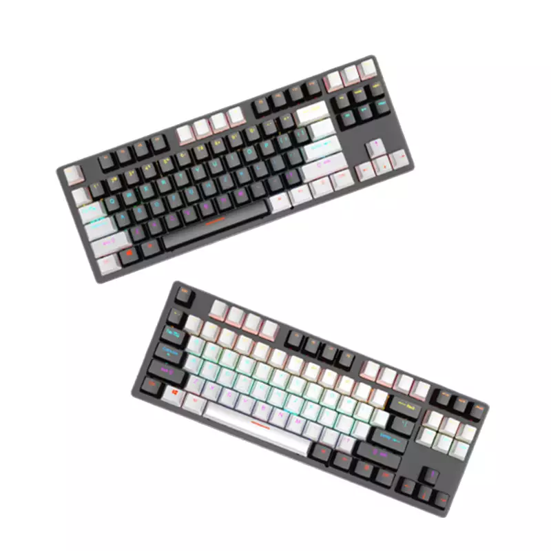 LEAVEN K550 TKL 87 Keys Wired Mechanical KEYBOARD (Hot-Swappable)-gallery-1