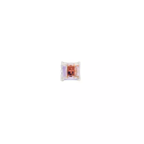 ROBEETLE BOX BROWN MECHANICAL SWITCH (3 PIN)-gallery-1