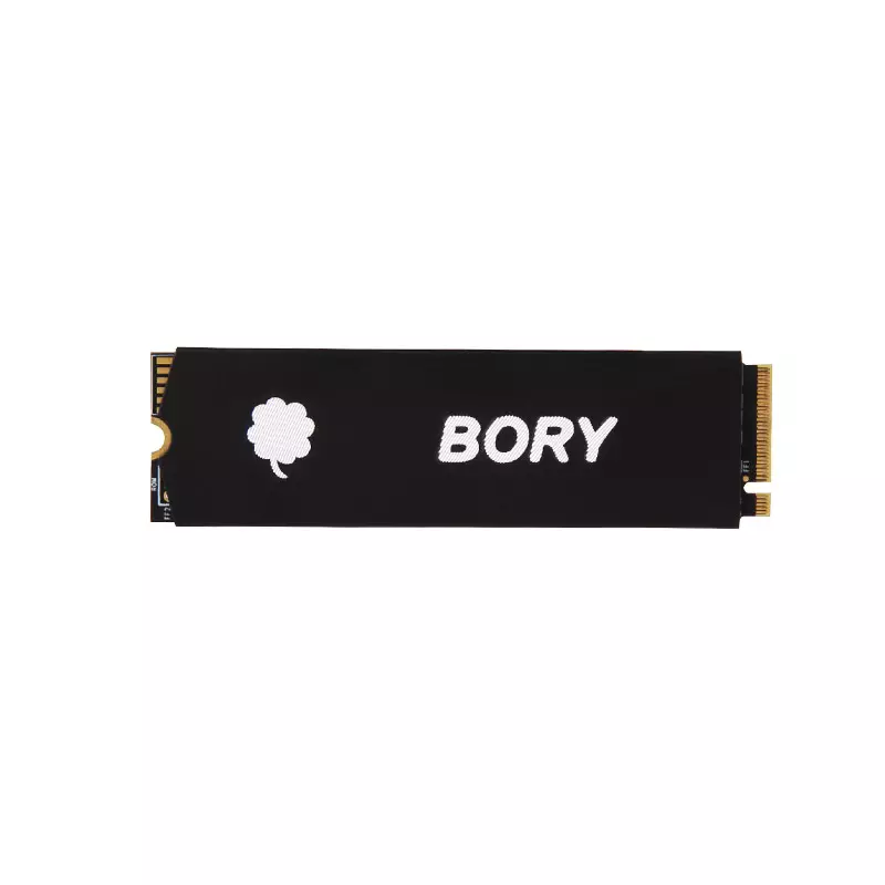 BORY NV890 MII 512GB PCIE GEN 3 NVME (32GBS) 2280 SSD-gallery-1