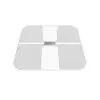 Teton TSSHW01 Wi-Fi & Bluetooth Smart Scale-gallery-1