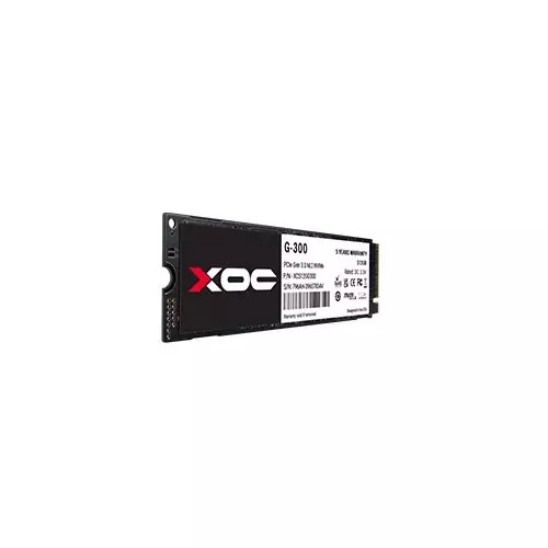 XOC G300 256GB PCIe 3.0 NVMe SSD-gallery-2
