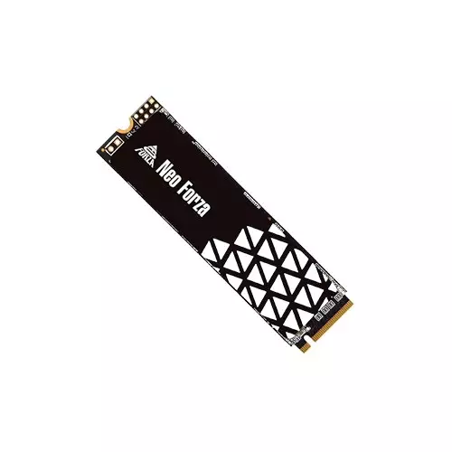 NEO FORZA NFP045 1TB M.2 2280 INTERNAL SSD-gallery-1