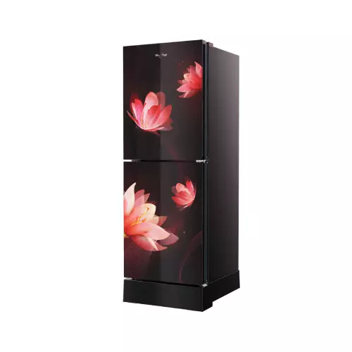Whirlpool Fresh Magic Pro 257L Florina Red Refrigerator-gallery-2