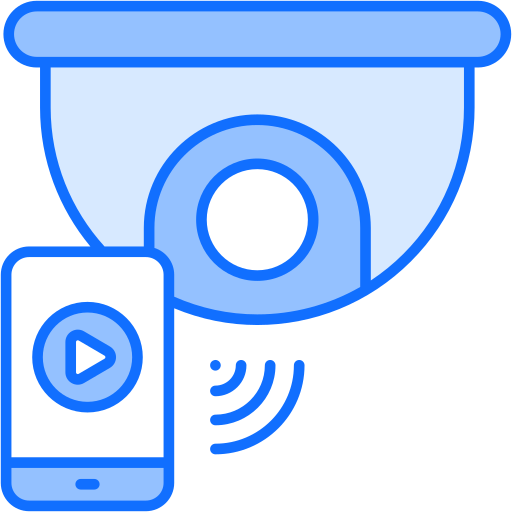Security Surveillance