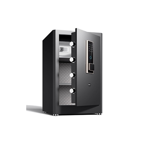 Deli ET596 Fingerprint Password Safe Box